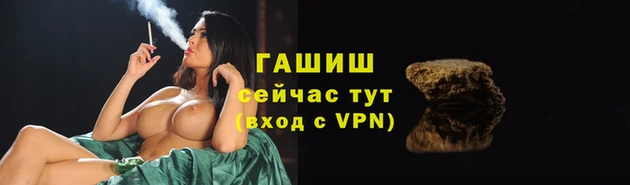 мяу мяу мука Сафоново