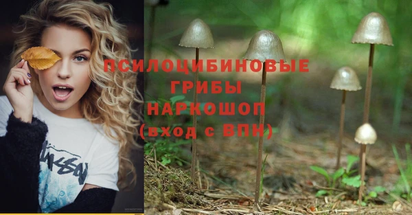 ПСИЛОЦИБИНОВЫЕ ГРИБЫ Армянск
