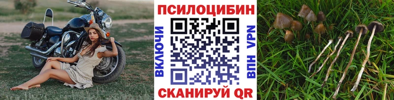 Псилоцибиновые грибы Magic Shrooms  даркнет сайт  Таруса 